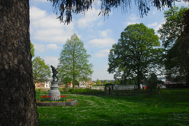 Photo du parc de la plante.