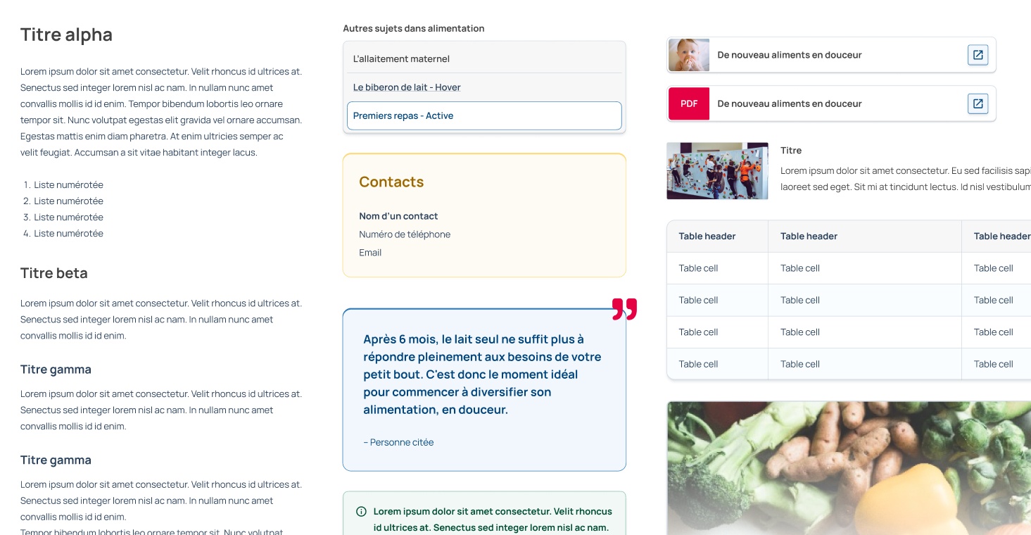 Some of the components and text styles editors can use when writing an article.