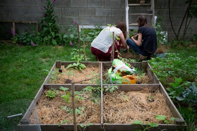 Un bac de plantations avec Mana et sa colocataire en arrière-plan