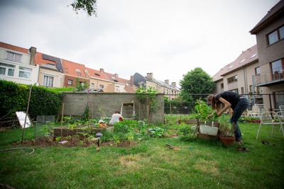 Plan large du jardin de Mana.