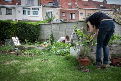 Photo d'un panier de carottes et de navets.